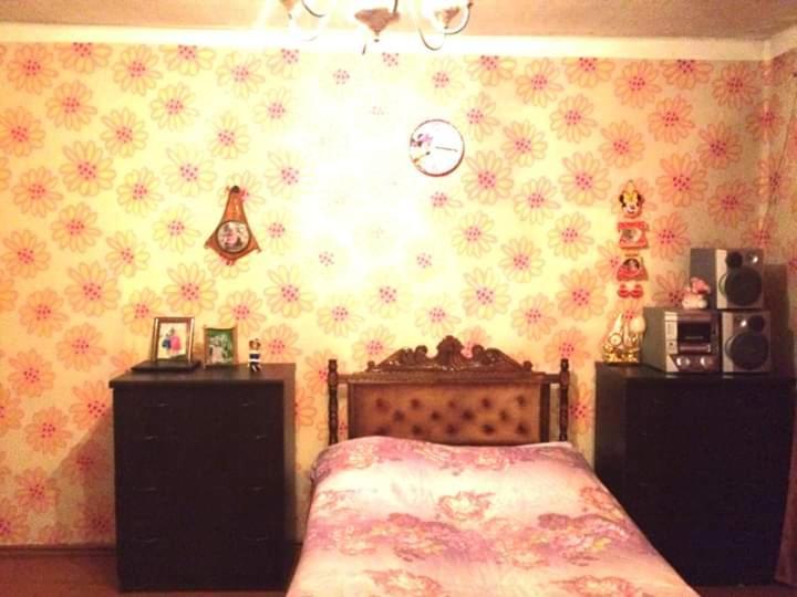Hotel Kazbegi 1 エクステリア 写真