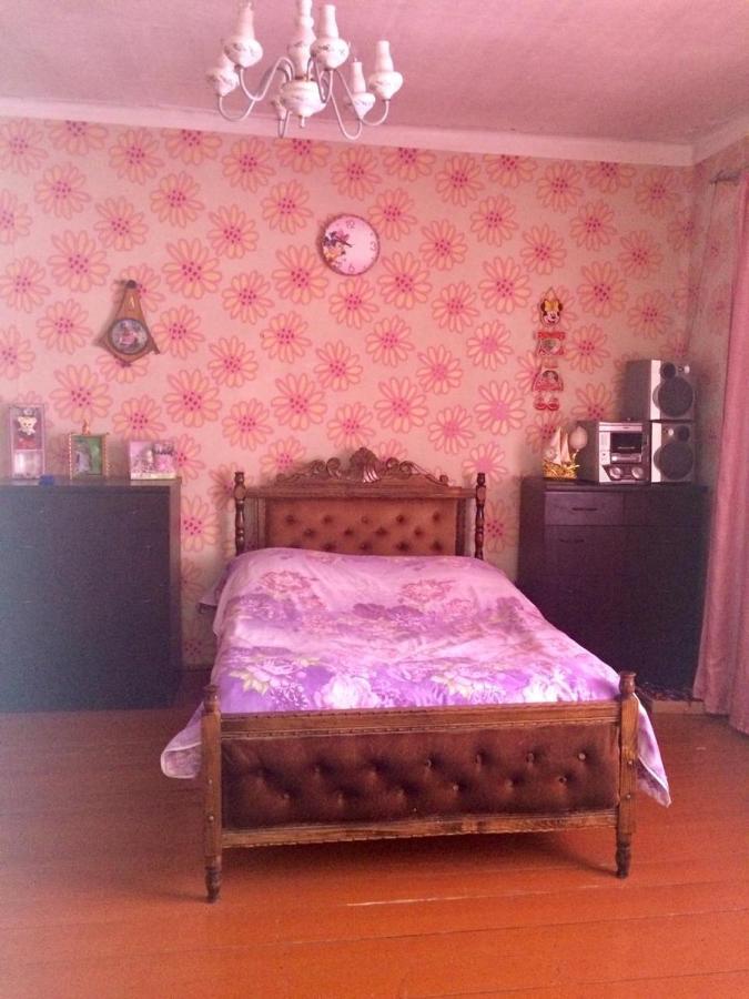 Hotel Kazbegi 1 エクステリア 写真
